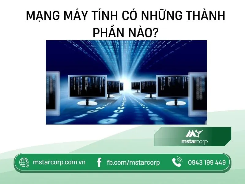 Các thiết bị phần cứng chính như Switch và Router tạo nên cấu trúc mạng