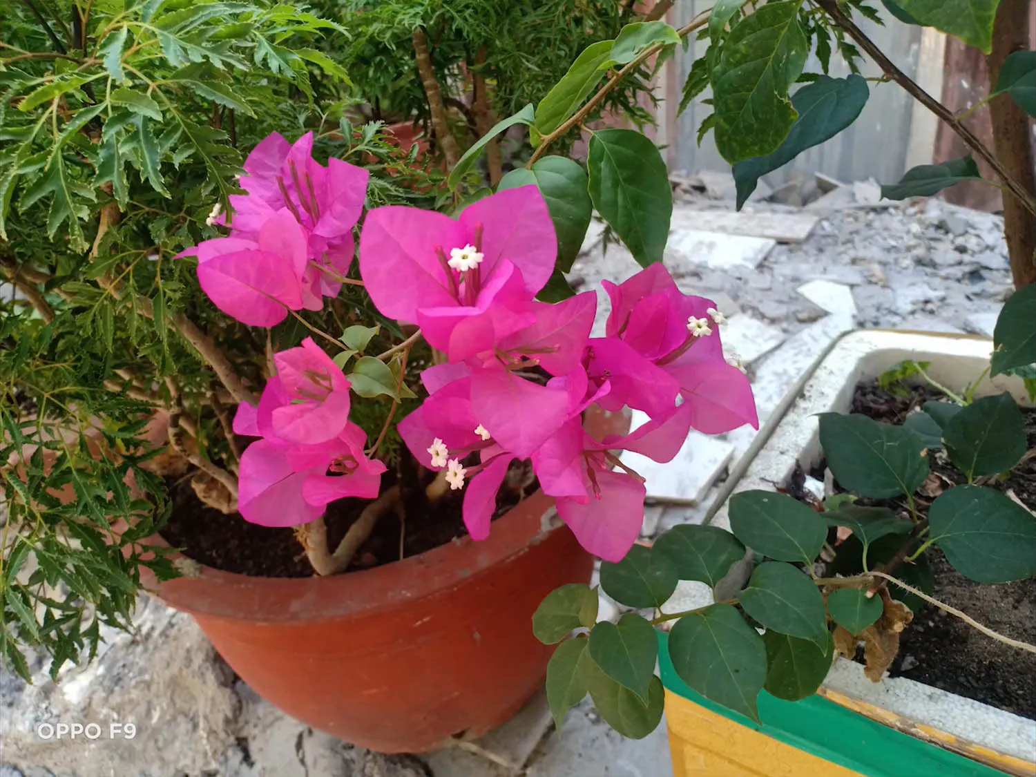 Bức ảnh chụp kiến trúc với góc nhìn rộng và màu sắc tái hiện trung thực